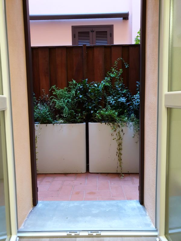 French window open onto the terrace with planters